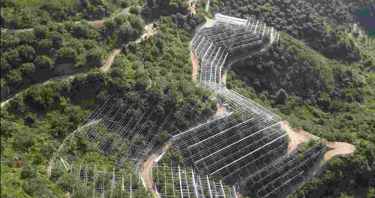 现代化杨梅种植基地