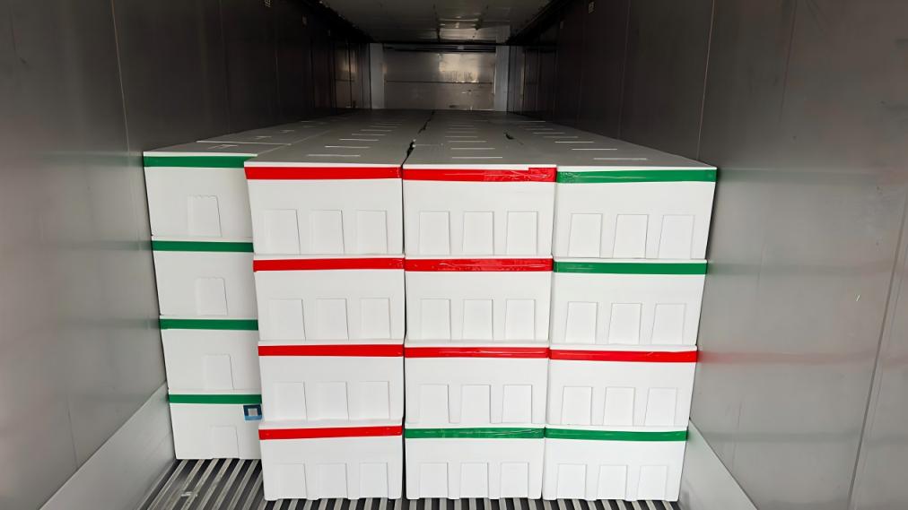 中试实验草莓装箱运输